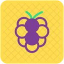 Grapes Bunch Fruit Icon