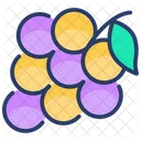 Agriculture Grapes Natural Icon