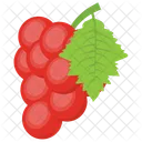 Red Grapes Pulpy Icon