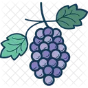Grapes Bunch Of Grapes Fruit Icon