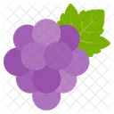 Grapes Food Fruits Icon