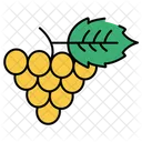 Grapes Fruits Food Icon