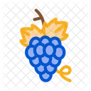 Bunch Grapes Greece Icon