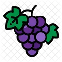 Grapes Fruit Wine Icon
