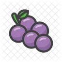 Grapes Black Current Fresh Fruit Icon