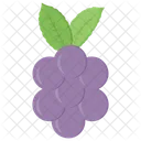 Grapes Fruit Natural Diet Icon