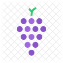 Grapes Wine Fruit Icon