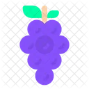 Grapes Fruit Spring Icon