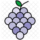 Grapes Berry Wine Icon