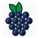 Fruit Simple Grape Icon