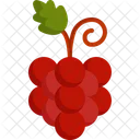 Grapes Diet Food Icon