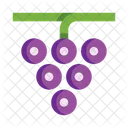 Grapes Delicious Fruit Icon