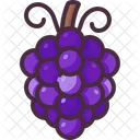 Grapes Grape Organic Icon
