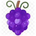 Grapes  Icon