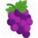 Grapes Fruit Healthy Icon