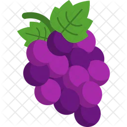 Grapes  Icon