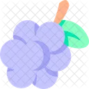 Grapes  Icon