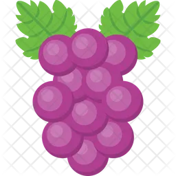 Grapes  Icon