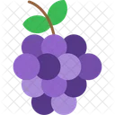 Grapes  Icon