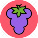 Grapes Food Fruit Icon