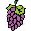 Grapes Bunch Of Grapes Berry Icon