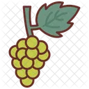 Grapes Fruit Grapes Bunch Icon