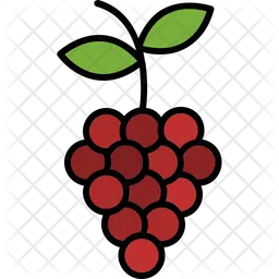 Grapes  Icon