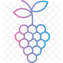 Grapes Grape Fruit Icon