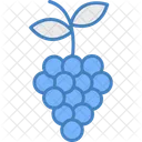 Grapes Grape Fruit Icon