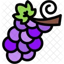 Grapes Raspberry Fruit Icon