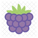 Grapes Fruits Fresh Icon