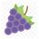 Grapes Fruits Winery Icon