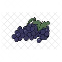 Grapes Fruit Food Icon