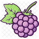 Fruit Viticulture Wine Making Icon