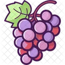 Fruit Viticulture Wine Making Icon