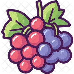 Grapes  Icon