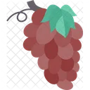 Grapes Bunch Grapevine Icon