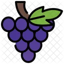 Grapes Berry Purple Icon