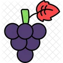 Grapes Grape Fruit Icon