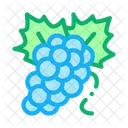 Grapes Bunch  Icon