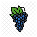 Grapes Bunch Grape Fruit Icon