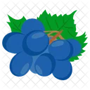 Grapes  Icon