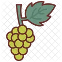 Grapes Fruit Grapes Bunch Icon