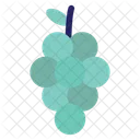 Grapes  Icon