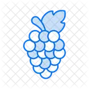 Grapes  Icon