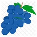 Grapes Fruit Harvest Icon