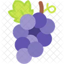 Grapes Fruit Healthy Icon