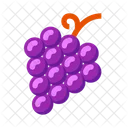 Grapes Fruit Food Icon