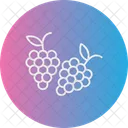 Grapes Grape Fruit Icon