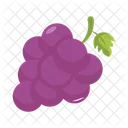 Grape Vine Fresh Icon